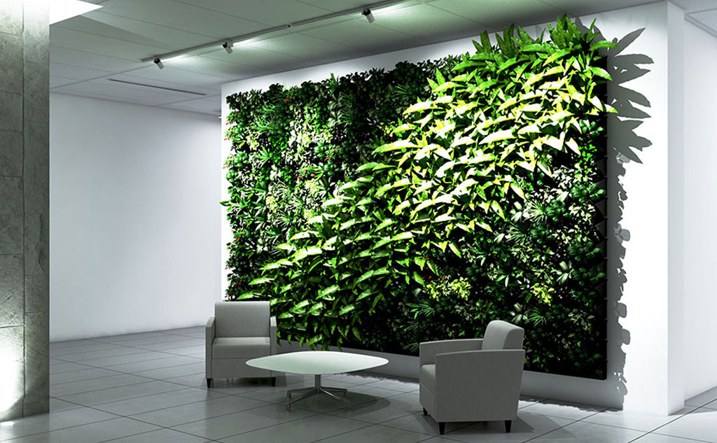 Biophilia & Plants