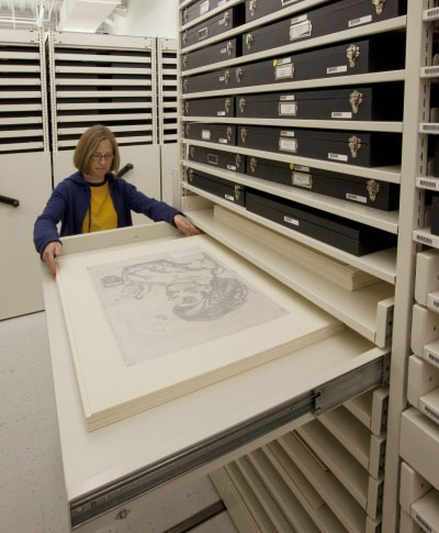 Montel art museum storage at Harvard Fogg