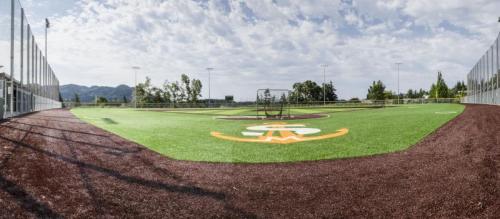 baseball panorama